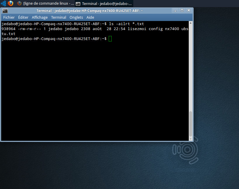 Screenshot de terminal linux